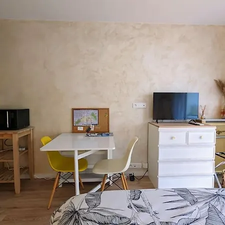 Studio Climatise Proche Commodites Et Parking 公寓 勒卡内